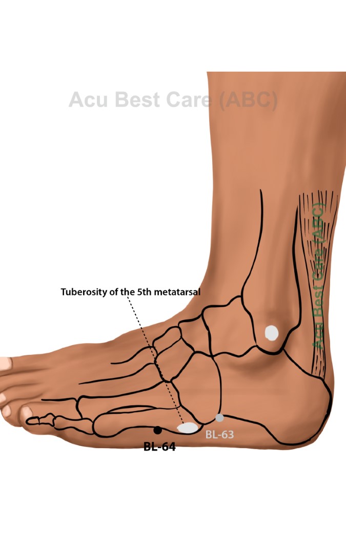 Acubestcare Meridian UB-64 or BL-64